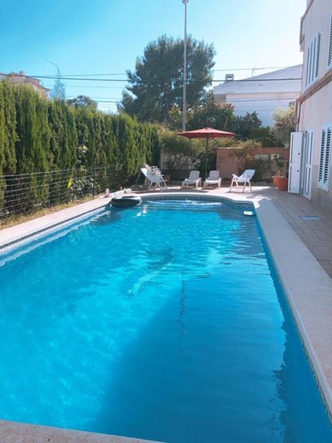 Apartamentos Playa Centro Benicàssim Zewnętrze zdjęcie